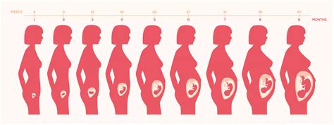 怀孕肚子容易饿该怎么办?控制怀孕期饥饿的3个方法 - 知乎
