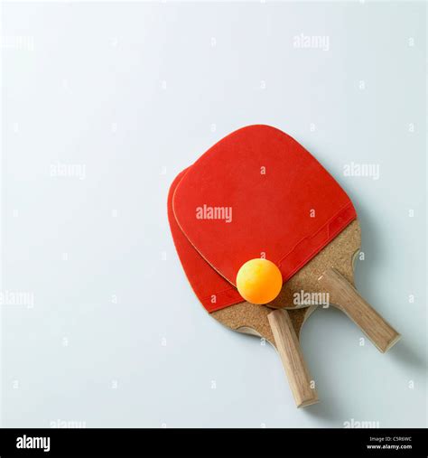 Table Tennis Gears And Equipment at Maddison Chidley blog