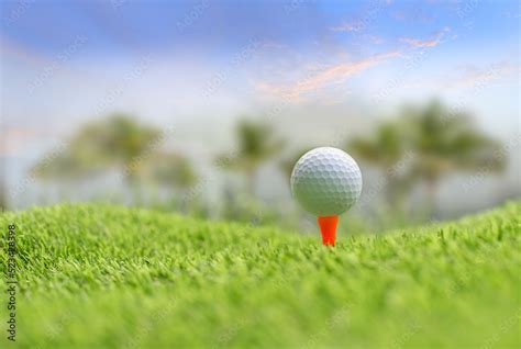 Golf Ball and Tee 的图像结果