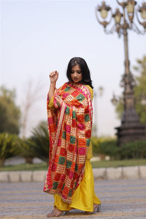 Women's Phulkari Embroidered Chiffon Dupatta – SWI Stylish