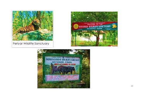 in situ and ex situ conservation.pptx