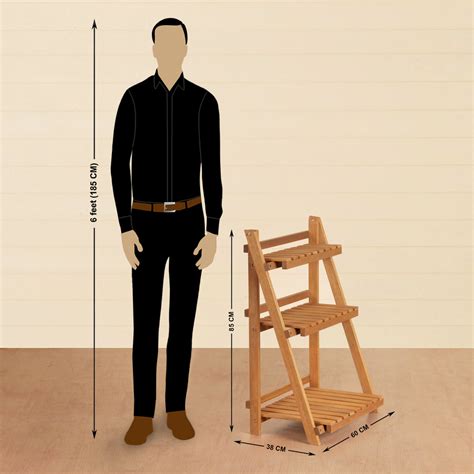 Buy Juliet 3-Tier Planter Rack from Home Centre at just INR 6400.0