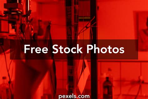 Image result for Developmental Process