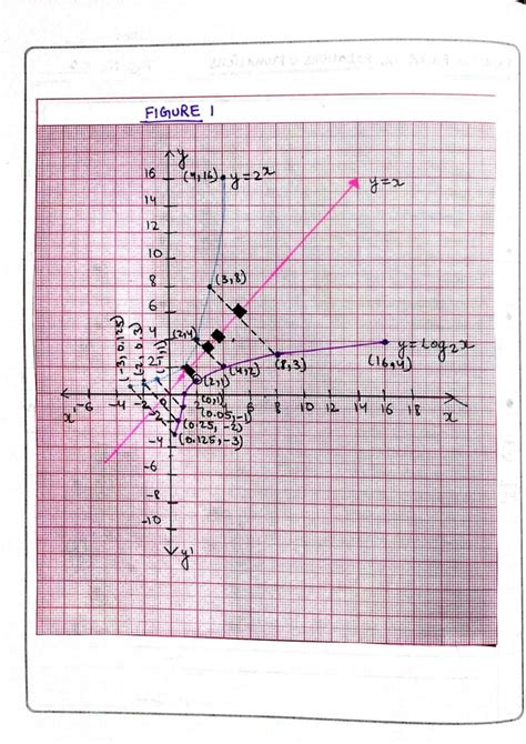 Maths Practical Class 12 的图像结果
