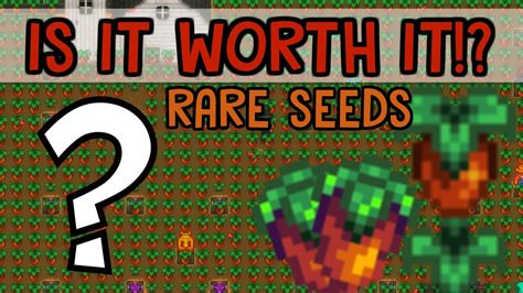 MEGA RARE SEED FARM! - Stardew Valley - Sweet Gem Berry Project - YouTube