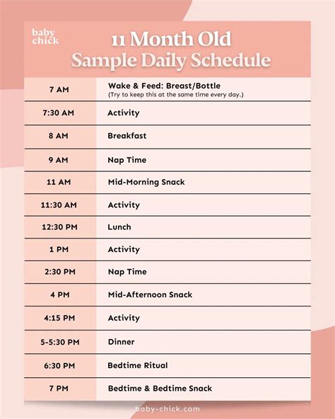 11-Month-Old Baby: Feeding, Sleep, and Milestones by Month - Baby Chick
