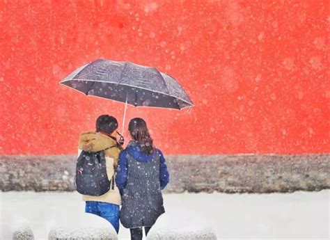 高速封闭，学校停课！辽宁遭遇大暴雪，鞍山积雪近半米，一农贸市场被压塌_腾讯新闻