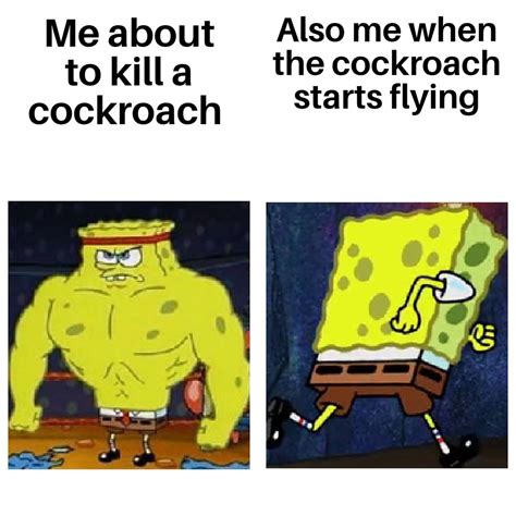 Cockroach Meme 的图像结果
