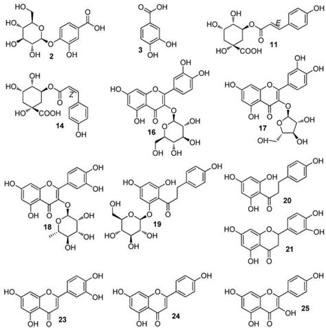 Identification of Phenolic Compounds from Hancornia speciosa ...