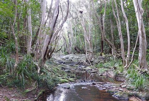 THE BUMP TRACK (2025) All You Need to Know BEFORE You Go (with Photos ...