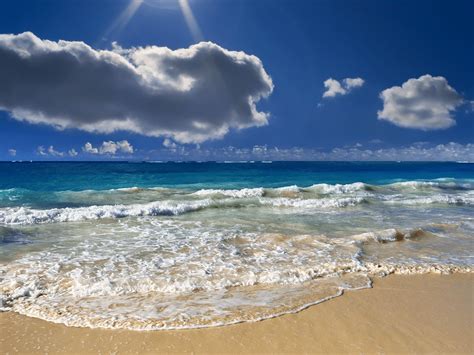 Spring Beach Vacation 的图像结果