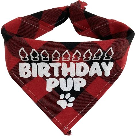 Bandana For Dogs Birthday at Lara Roberts blog