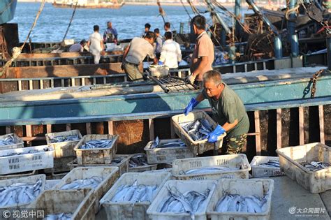 青岛：渔民开海迎丰收 日上岸数万斤 - 海报新闻