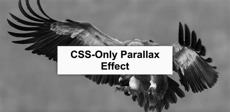 Parallax Effect HTML 的图像结果