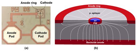 Avalanche Photodiodes and Silicon Photomultipliers of Non-Planar Designs