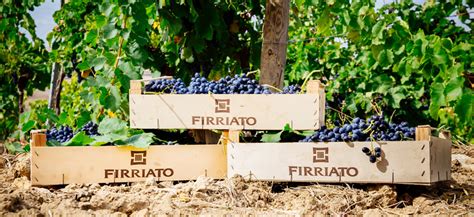 Vigneti Firriato alle pendici dell’Etna – viticoltura eroica