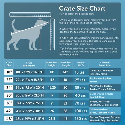 Cage Sizing Dog Crate Sizes Chart Online USA | www.pinnaxis.com