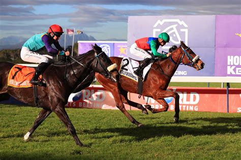 A Rose Is A Rose Is A Rose...Genuine! | Sporting Post