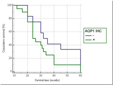 Evaluation of Beta-Catenin Subcellular Localization and Water Channel ...