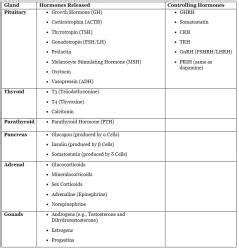 Endocrinology - 1 Chapter Notes - Pharmacology - NEET PG PDF Download