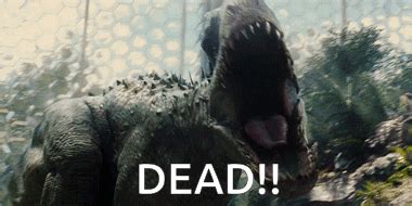 Dead Meme GIF 的图像结果