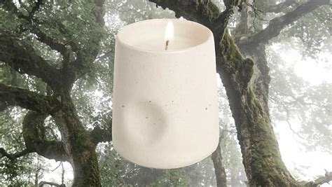 Win Giveaways & Get Discount Codes On LBB Access | LBB