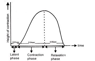Muscles, Chapter Notes, Class 11, Biology PDF Download