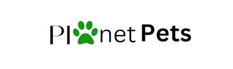 Buy PLANET PETS Omega Pro Electric Table For Pet Grooming Electric ...