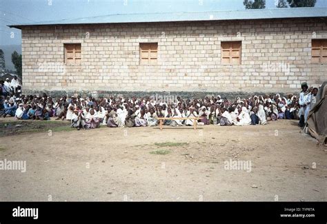 Community 的图像结果