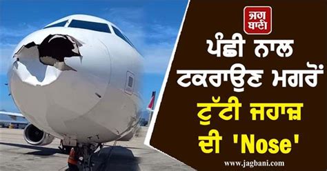 ਯਾਤਰੀਆਂ ਦੀ ਜਾਨ 'ਤੇ ਬਣੀ, ਪੰਛੀ ਨਾਲ ਟਕਰਾਉਣ ਮਗਰੋਂ ਟੁੱਟੀ ਜਹਾਜ਼ ਦੀ 'Nose'