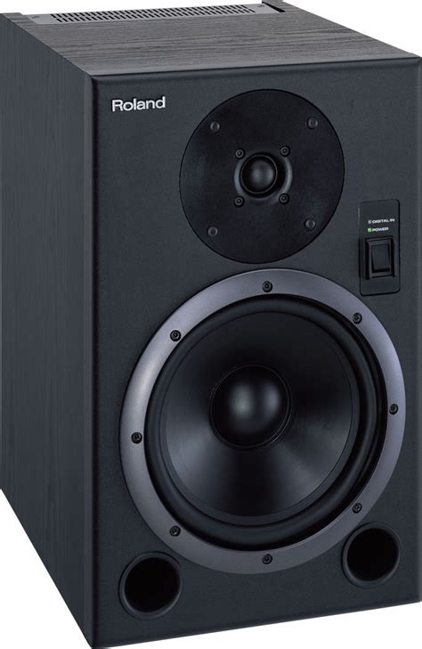 Roland India - DS-8 | Bi-Amp Monitor