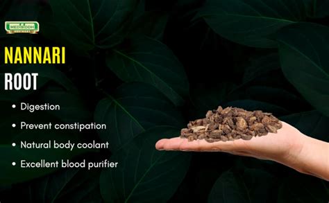 Buy Allherbs Nannari root 100 Gms | Sarasapilla | Anantamul | Narunenti ...