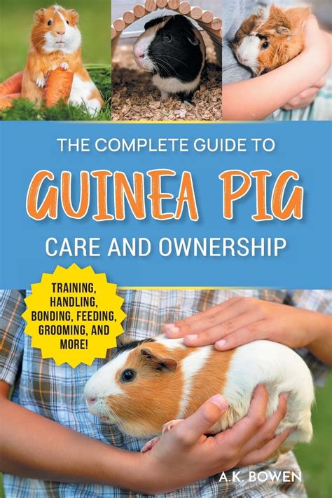 Buy The Complete Guide to Guinea Pig Care and Ownership: Covering ...