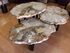 Image result for Petrified Wood Coffee Table White Artefacto