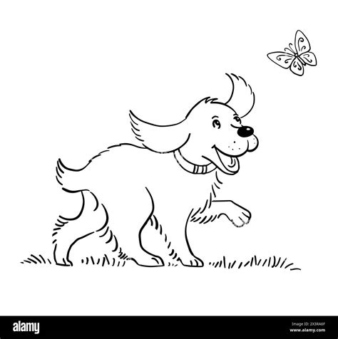 Dog butterfly Black and White Stock Photos & Images - Alamy
