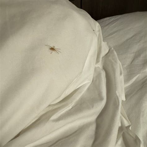 THE DAULAT (Singapore) - Hotel Reviews, Photos, Rate Comparison ...