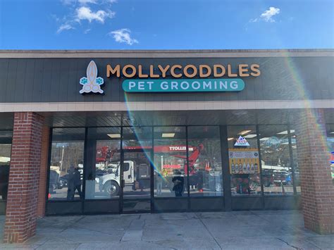 Image result for Channel Sign Design