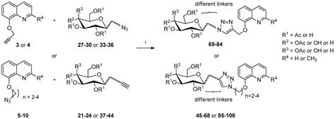 8-Hydroxyquinoline Glycoconjugates: Modifications in the Linker ...