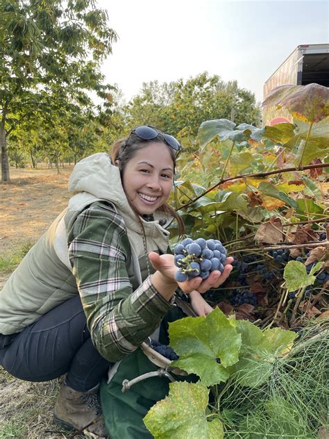 Gleaning - Bellingham Food Bank
