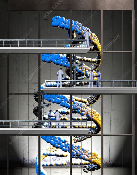 Image result for Define Modification