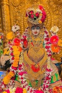 Goddess Meldi Maa Religious Waterproof Vinyl Sticker Poster || (24 inch ...