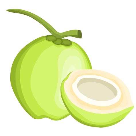 Coconut Fruit Clip Art