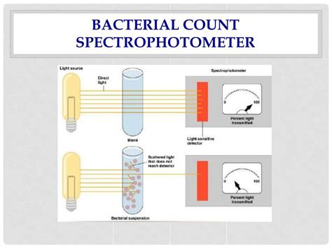 Image result for How to Do Microbial Growth Curves Using Spectrophotometer
