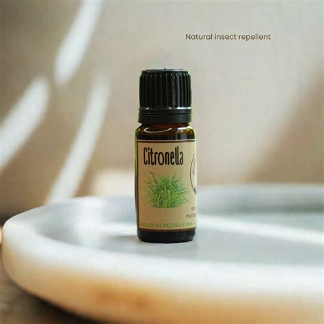 Citronella Essential Oil (10ml) – PEEPAL FARM PRODUCTS