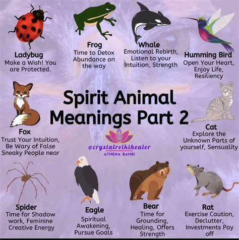 Indigenous Hunting Methods That Honored Animal Spirits