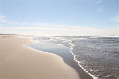 16 Fun Things to Do in Long Beach, WA — Pines and Vines — Pines and Vines