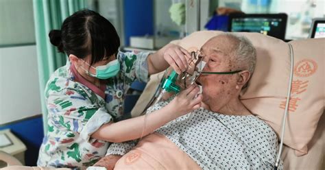 Hospice Nurse Job Description