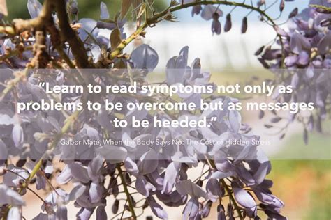 Image result for Mind Body Emotion Connection