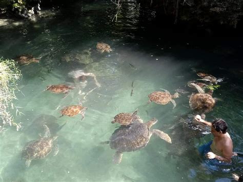 CHEICHEI ZANZIBAR TOUR AND SAFARI (2025) All You Need to Know BEFORE ...