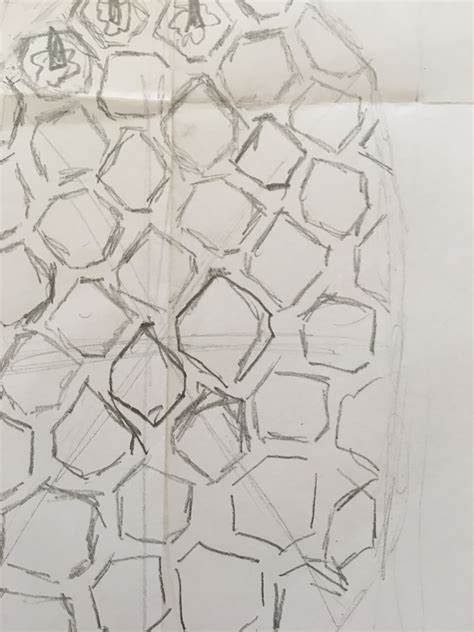 Image result for Accuracy Drawing Lesson